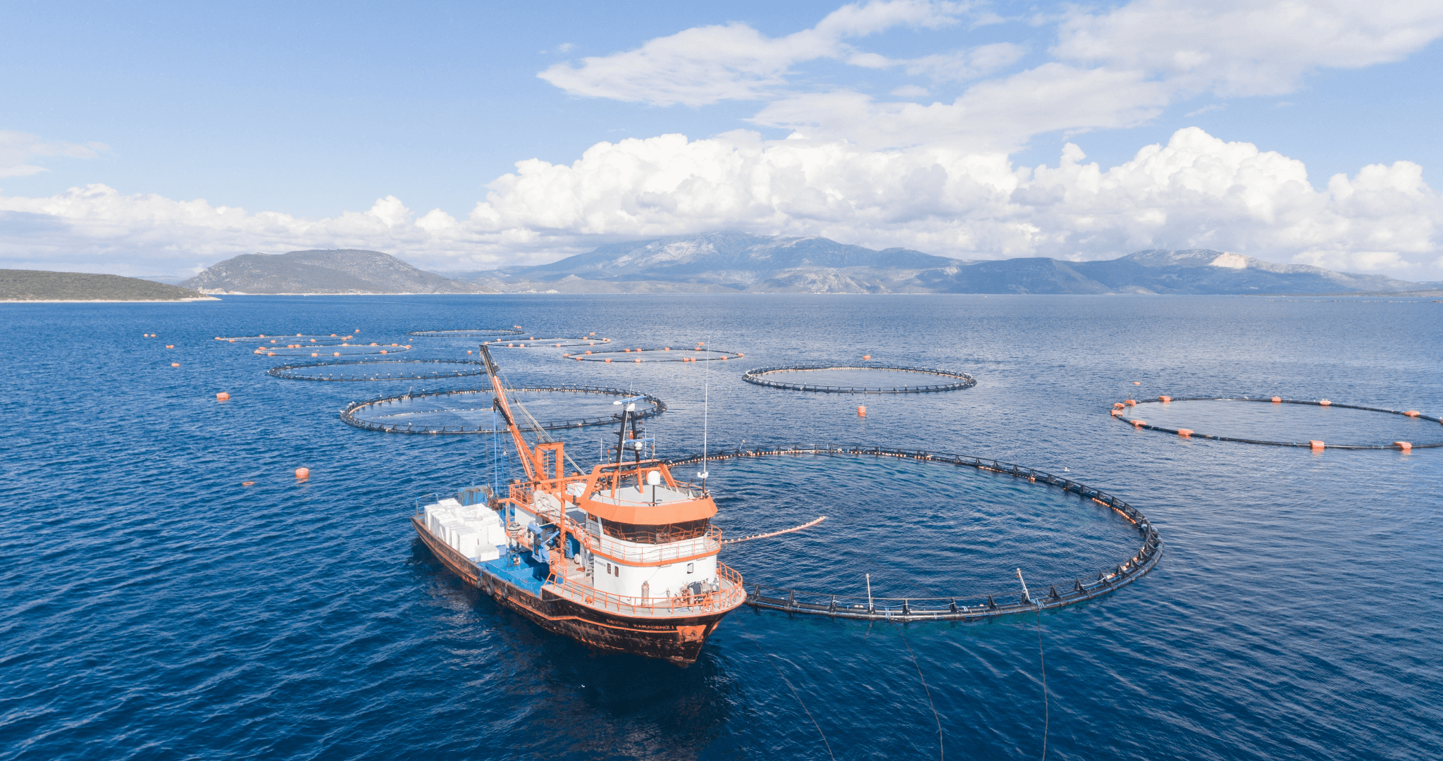 Scottish Salmon Farm