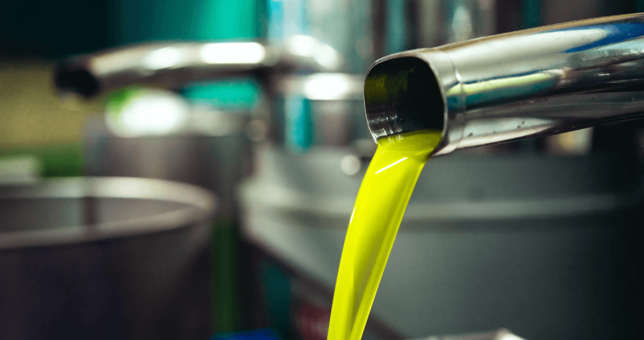olive oil being processed